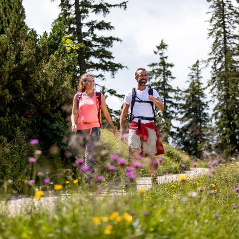 Wandern rund um Bad Reichenhall  Foto: Tom Lamm Quelle: Berchtesgadener Land Tourismus GmbH 