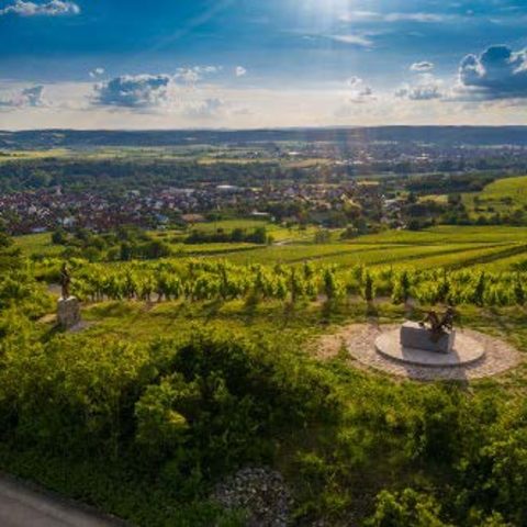 „terroir f“ Thüngersheimer Johannisberg Quelle: Gemeinde Thüngersheim Fotograf: Rolf Nachbar