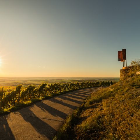 Fotonachweis: Tourist Information Iphofen/Michael Koch