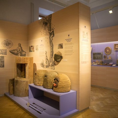 Bienenmuseum Quelle: Stadt Illertissen 
