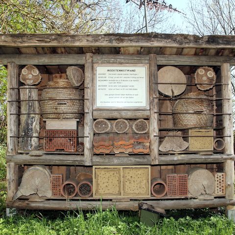 Bienenlehrpfad_Insektenwand Foto: Peter Wieser Quelle: Stadt Burgau - Kulturamt 