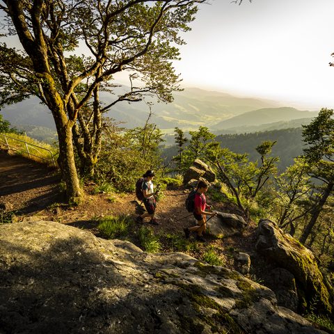 ZweiTälerLand - ZweiTälerSteig / Copyright: Patrick Kunkel