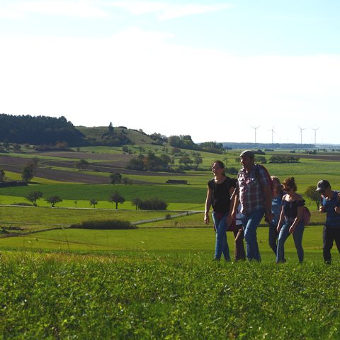 Paradiesische Wein und Waldtour Quelle: Weinparadies Franken