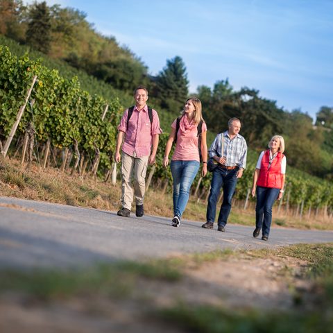 Wandern © Viktor Meshko. VMP Quelle: Touristinformation Stadt Kitzingen  