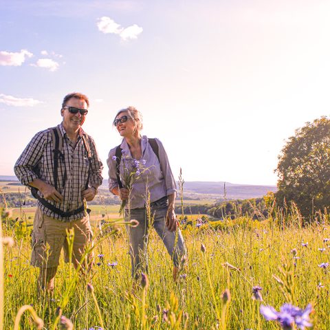 Wandern in und um Ebensfeld Bildrechte Gemeinde Ebensfeld 