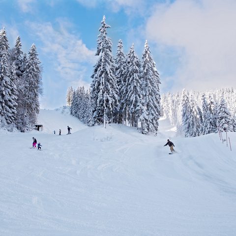 Skiarena-Silbersattel (c) Tourismusregion Coburg.Rennsteig e.V.