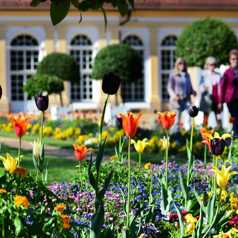 Schloß Orangerie Hofgarten Foto:JimAlbright Copyright Stadt Ansbach.