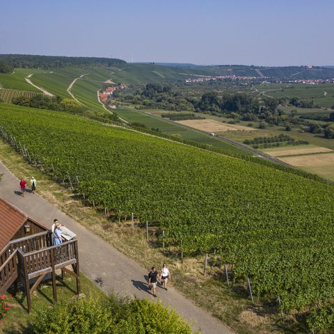 Aussichtsplattform Neuses am Berg © Fränkisches Weinland Holger Leue   Quelle: KUK Dettelbach