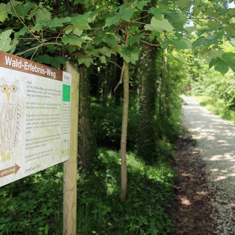 Walderlebnisweg Foto: Peter Wieser Quelle: Stadt Burgau - Kulturamt 