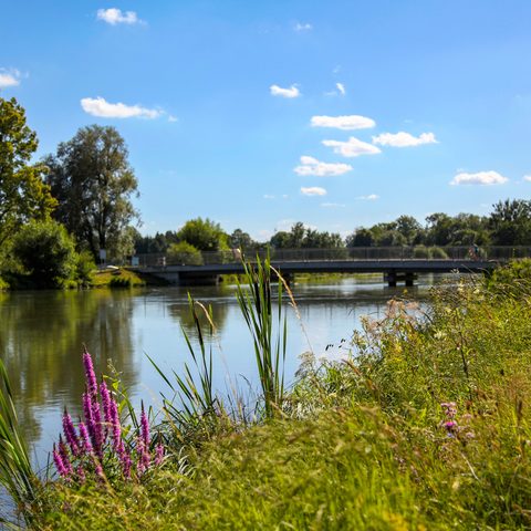 Radfahrer Amper Dachau Bildrechte: Stadt Dachau