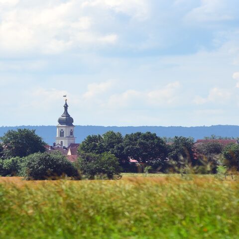 Weidenbach © Jim Albright Kommunale Allianz Altmühl-Mönchswald-Region