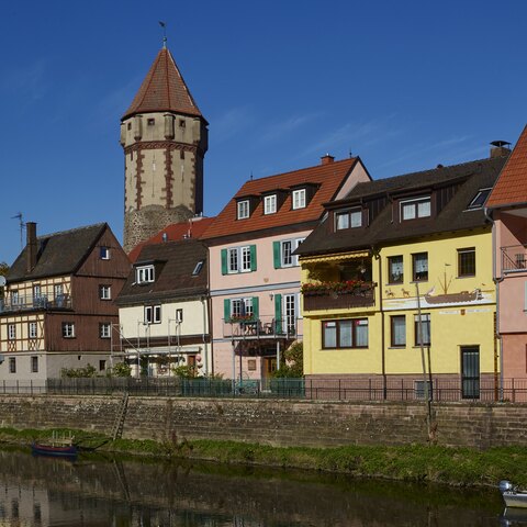 Wertheim Spitzer Turm © Tourismus Region Wertheim Peter Frischmuth argus