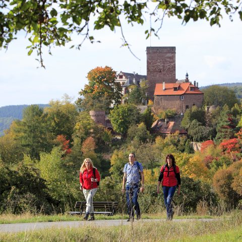 Wanderer Burg Gamburg Fotograf: Peter Frischmuth Quelle: Tourismusverband „Liebliches Taubertal“ e.V.

