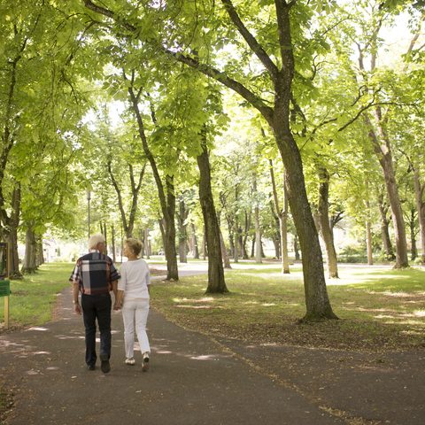 Kurpark © Kur-, Kongress und Touristik GmbH