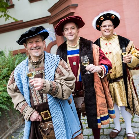 Kitzinger Hofräte © Viktor Meshko. VMP Quelle: Touristinformation Stadt Kitzingen  