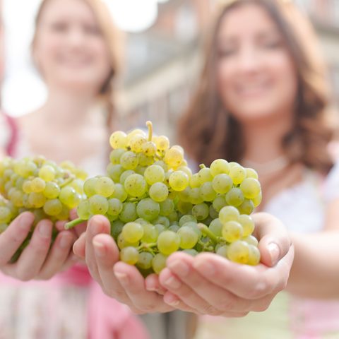 Volkach Fotos: Agentur ZUDEM / Nitschke & Hünting