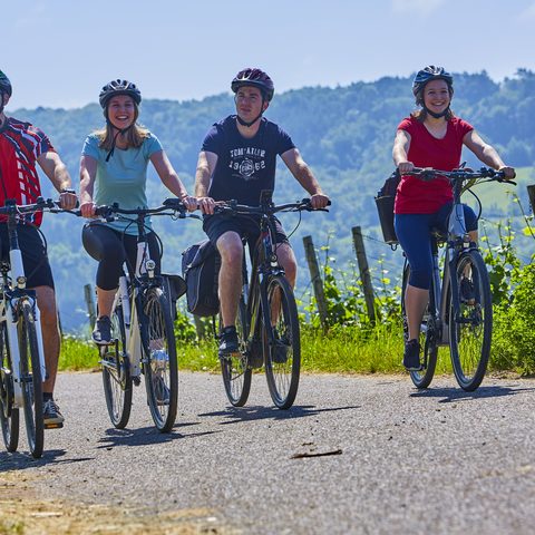 Weinradreise Copyrigh: Tourismusverband Liebliches Taubertal / Peter Frischmuth