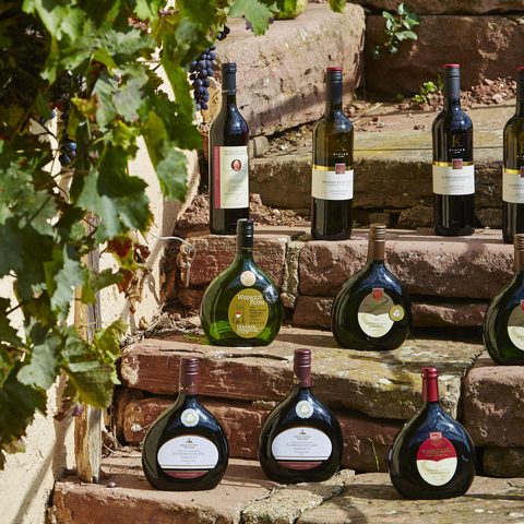 Wein Vielfalt Copyrigh: Tourismusverband Liebliches Taubertal / Peter Frischmuth