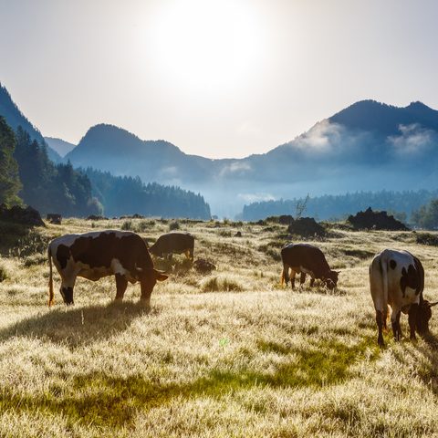 © Ruhpolding Tourismus GmbH