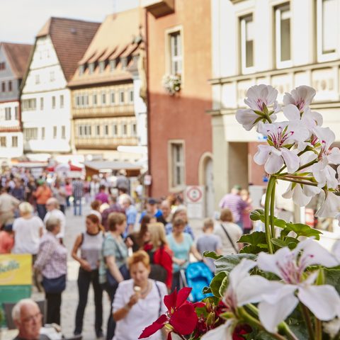 Ochsenfurt Alltstadt Bildrechte AHA Design, Anke Hartenstein Quelle: Stadt Ochsenfurt
