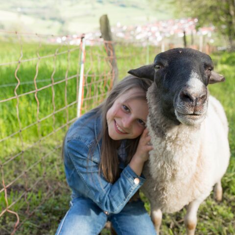 Rhönschaf © Gemeinde Ehrenberg (Rhön)