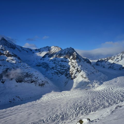 Aletschgletscher im Winter  