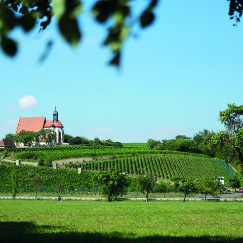 Umgebung Volkach Fotos: Agentur ZUDEM / Nitschke & Hünting
