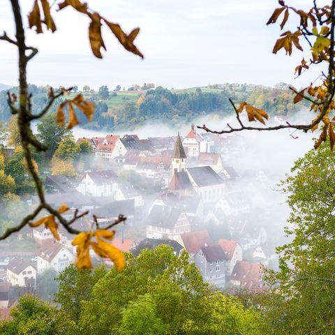 Nördlicher Schwarzwald © Alex Kijak Quelle: Tourismus GmbH Nördlicher Schwarzwald / piroth.kommunikation GmbH
