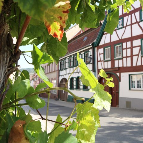 Altstadt Quelle: Stadt Laud-Königshofen / Kamala_Börnge