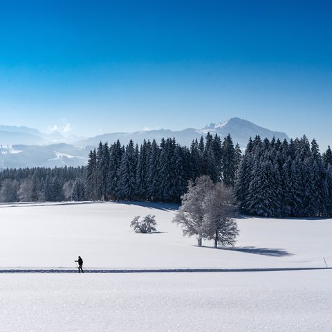 Sulzberg Langläufer © Dominik Luschtenetz Quelle: Allgäuer Seenland 