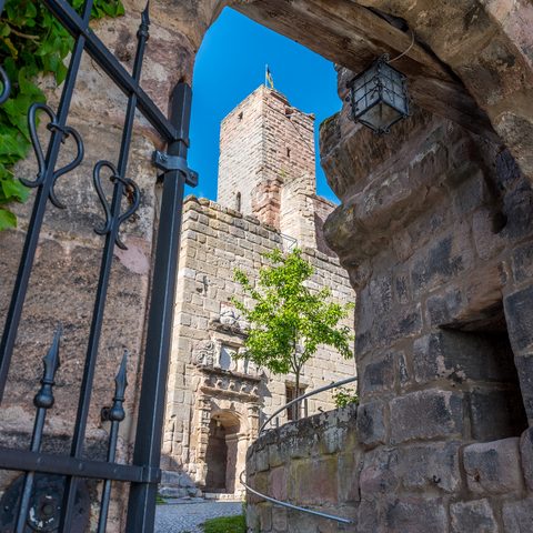 Burgruine Hilpoltstein Bildrechte: Bernhard Bergauer Quelle: Stadt Hilpoltstein Amt für Kultur und Tourismus 