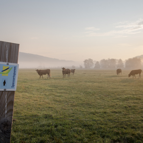 Merneser Josstal © Spessart Tourismus und Marketing GmbH