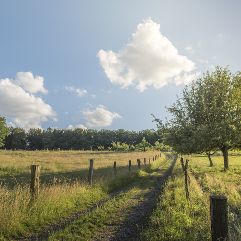 Somborner Hügelland© Spessart Tourismus und Marketing GmbH