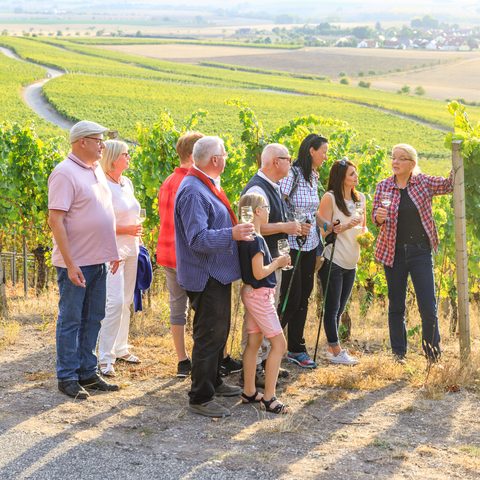 Gästeführungen Quelle: Weinparadies Franken