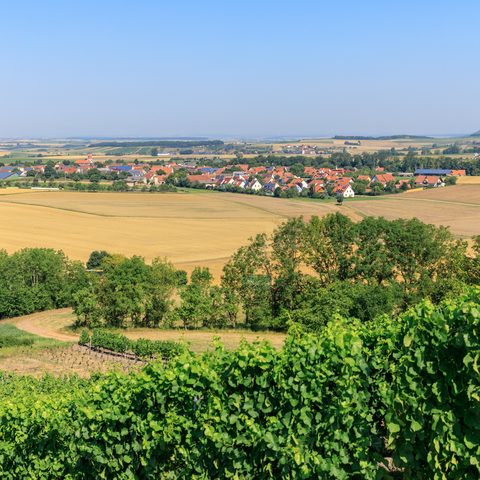 Quelle: Weinparadies Franken