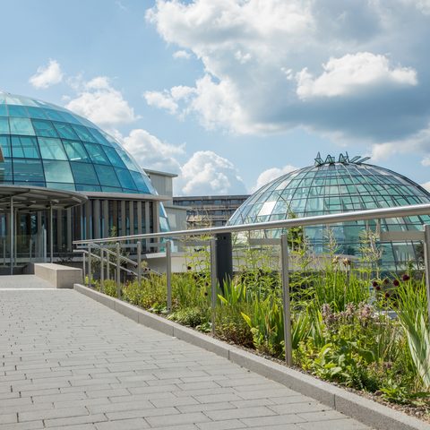 Campus RHÖN-Klinikum © Steffen Schneider Bilderschmiede  / Stadt Bad Neustadt a. d. Saale