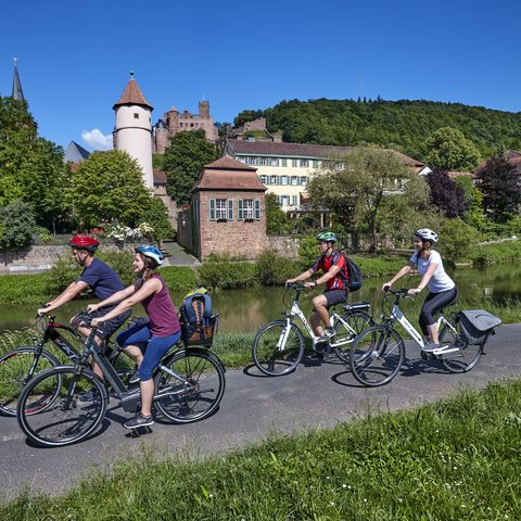 Radler in Wertheim Copyrigh: Tourismusverband Liebliches Taubertal / Peter Frischmuth