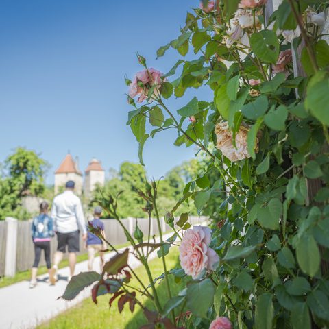 Berchinger Rosenweg © Stadt Berching