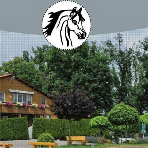 Reitanlage Waldau uelle: Archiv Gemeinde Neudrossenfeld, Herr Wunner, Stadt Bayreuth, Frau Dr. Fohrbeck, privat.