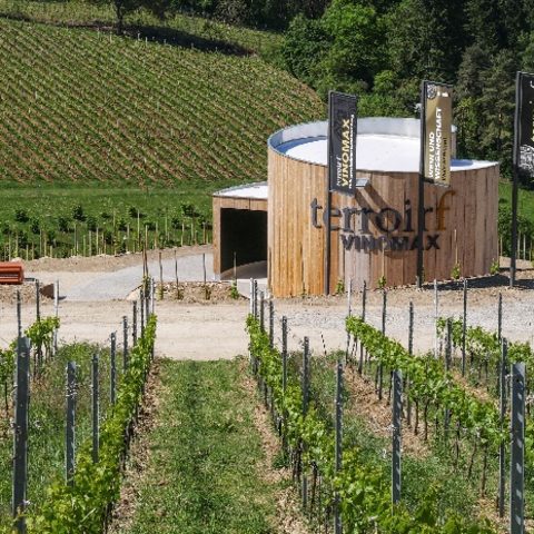„terroir f VINOMAX“ Thüngersheimer Scharlachberg Quelle: Gemeinde Thüngersheim Fotografin: Petra Höning; LWG