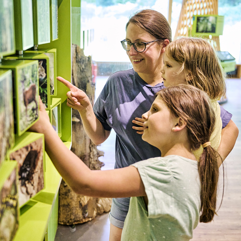 Steigerwaldzentrum © Steigerwald Tourismus e.V. / Fotograf Florian Trykowski
