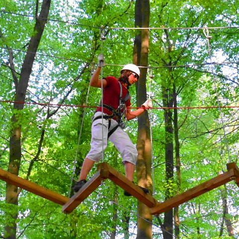 Europa-Kletterwald Steinau
 Quelle: Stadt Steinau an der Straße