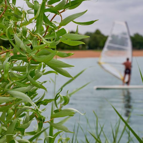 Seen Ubstadt Weiher © Kraichgau-Stromberg Tourismus e.V.-Christian Ernst Quelle: Kraichgau-Stromberg Tourismus e. V.