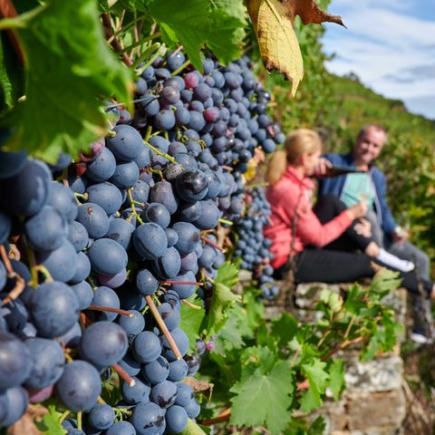 Wein Bietigheim-Bissingen © Kraichgau-Stromberg Tourismus e.V.-Christian Ernst Quelle: Kraichgau-Stromberg Tourismus e. V.