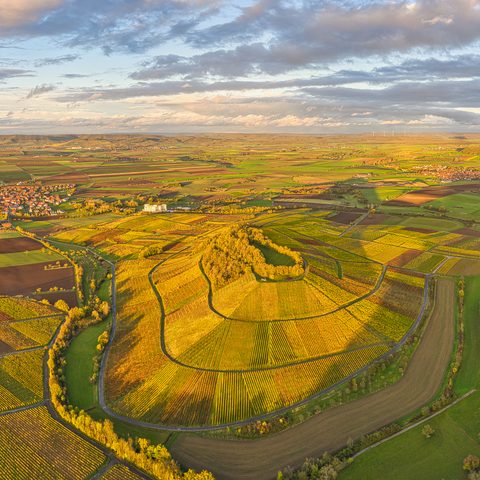 Tannenberg - Markus Ixmeier Quelle: Weinparadies Franken