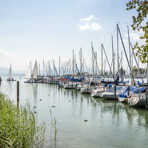 Segeln © Günter Standl Quelle: Tourist-Information Seebruck