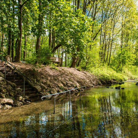 Auwald Naturkneipp Anlage © Koenen / Stadt Dillingen