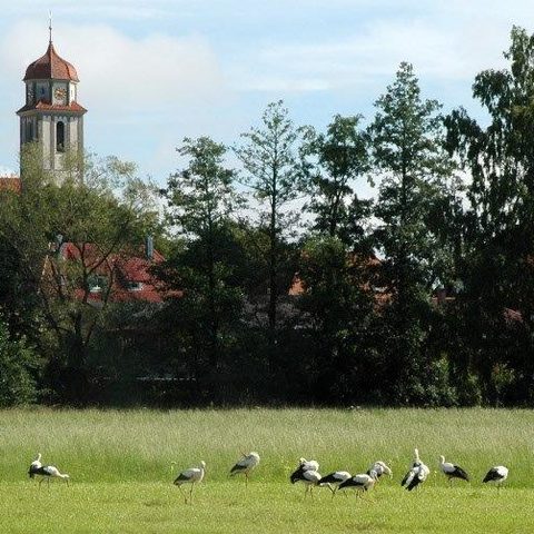 BECHHOFEN Treffpunkt Deutschland