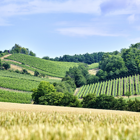 Markt Einersheim © Steigerwald Tourismus e.V. / Fotograf Florian Trykowski