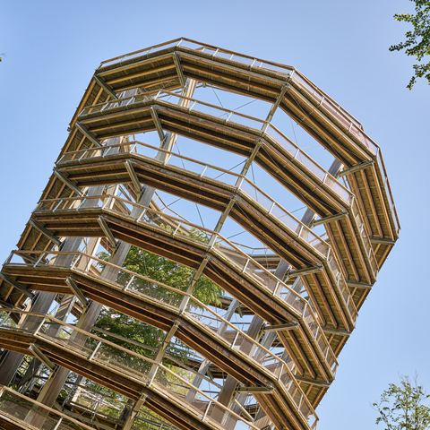 Baumwipfelpfad Steigerwald © Steigerwald Tourismus e.V. / Fotograf Florian Trykowski